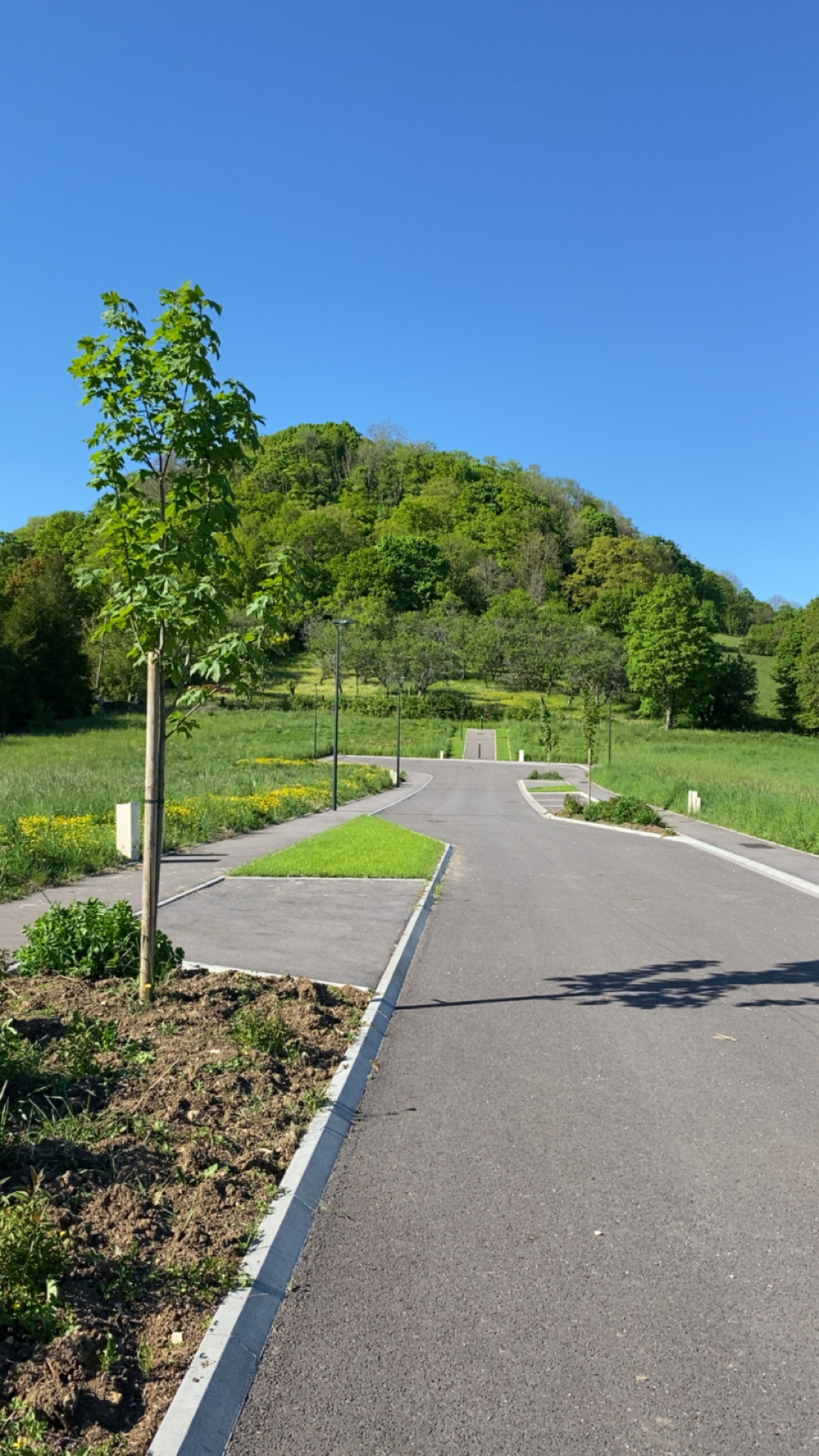 Terrain à bâtir
